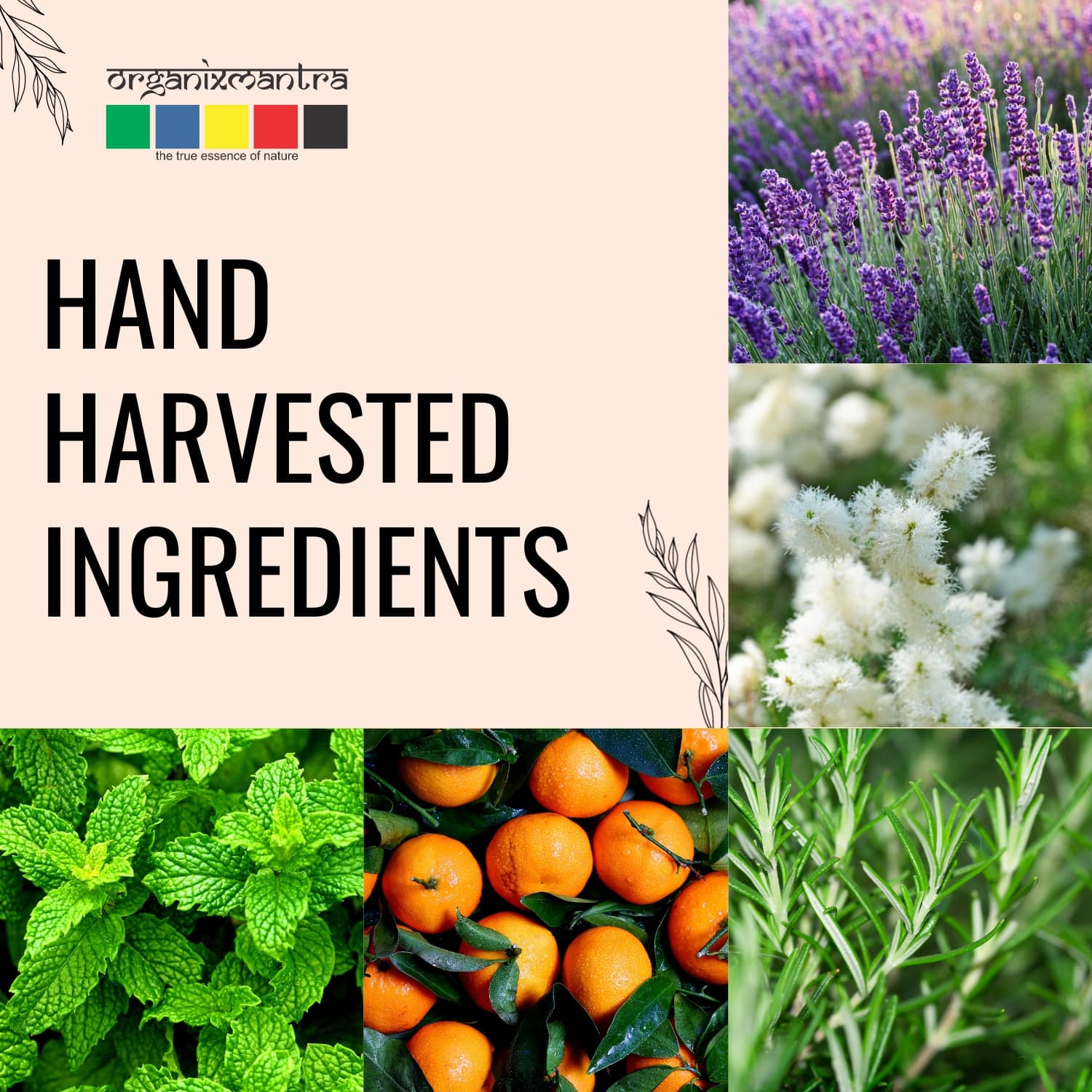 essential oil for hair care