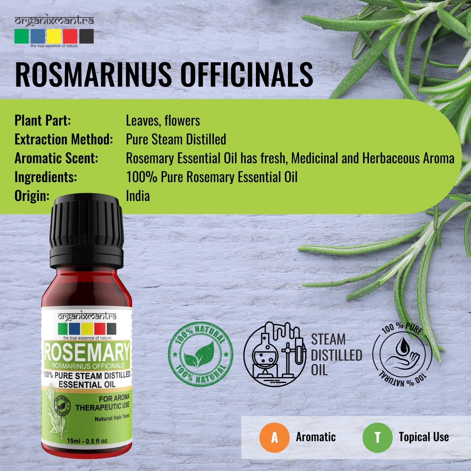 rosemary essential oil