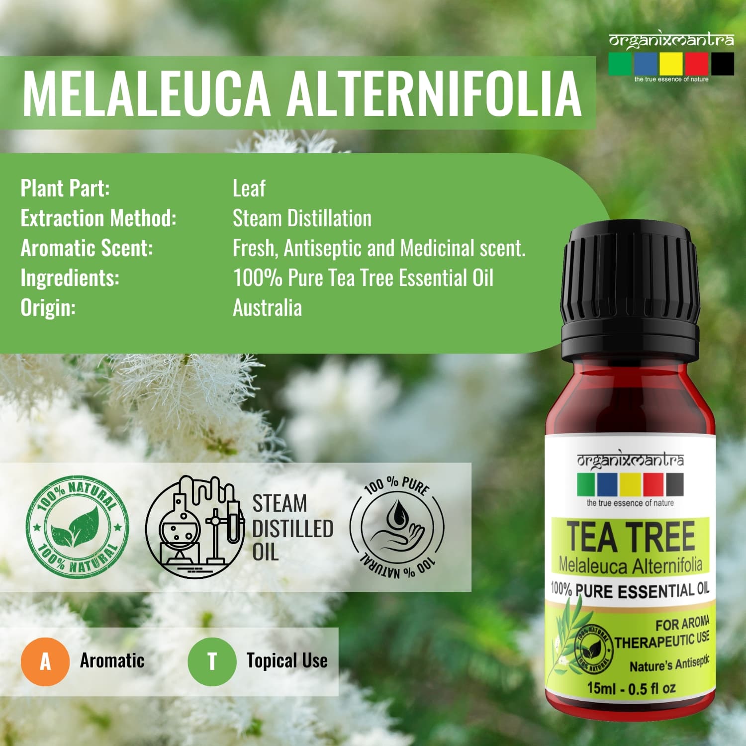 tea tree essential oil