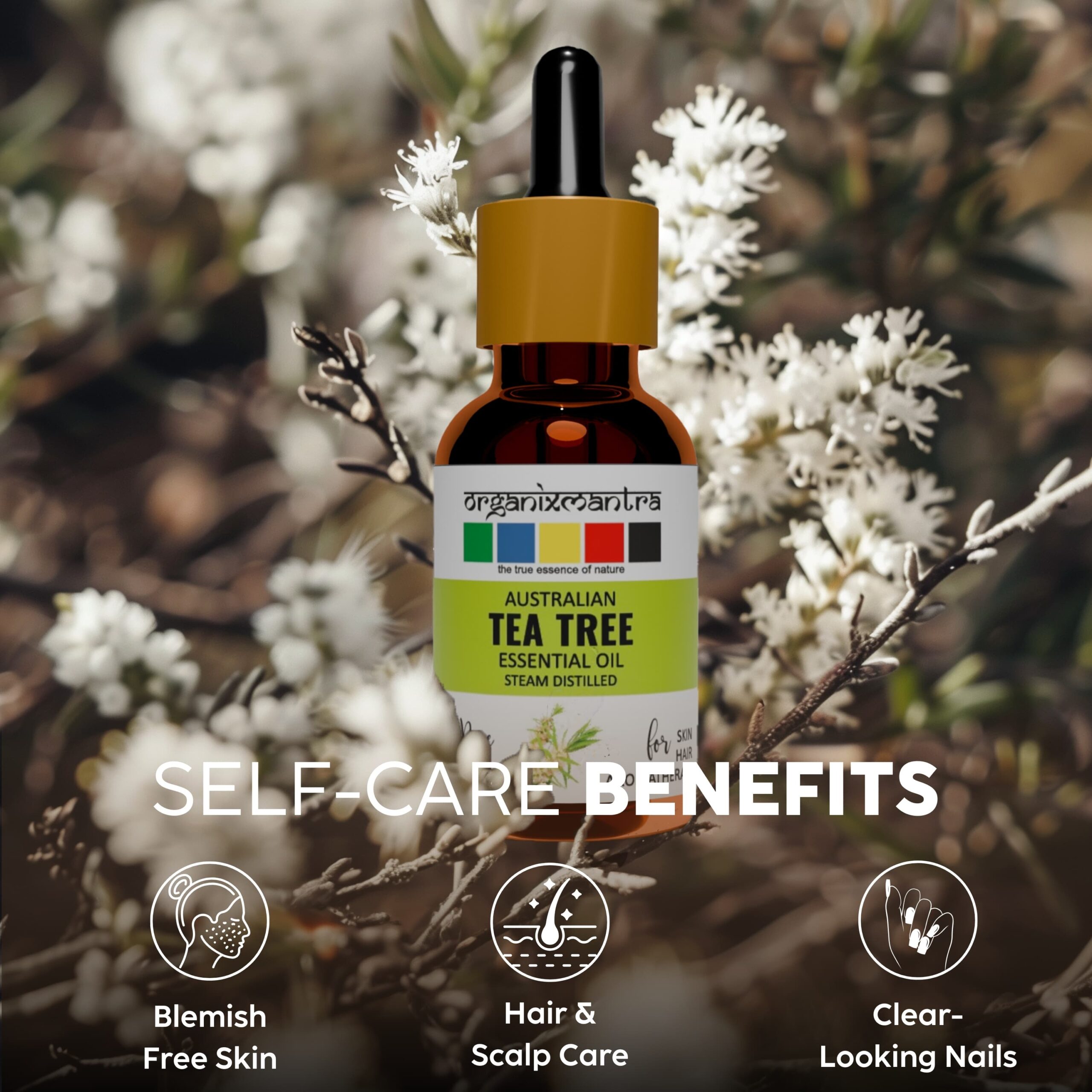 Australian Tea Tree Essential Oil - Image 4